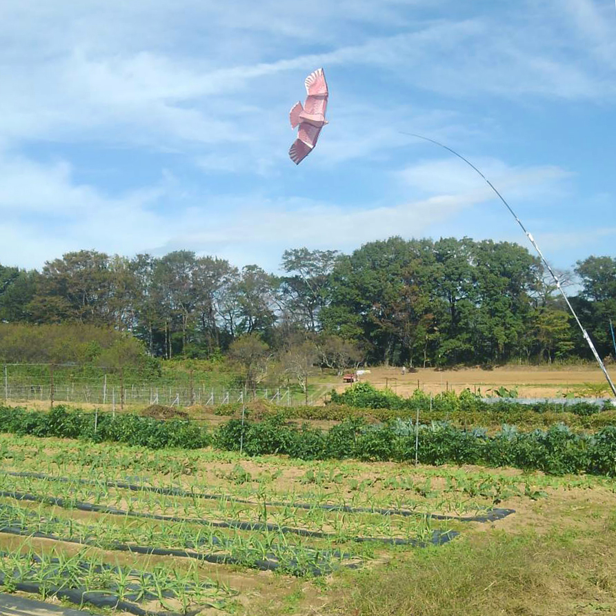 畑のつよい味方